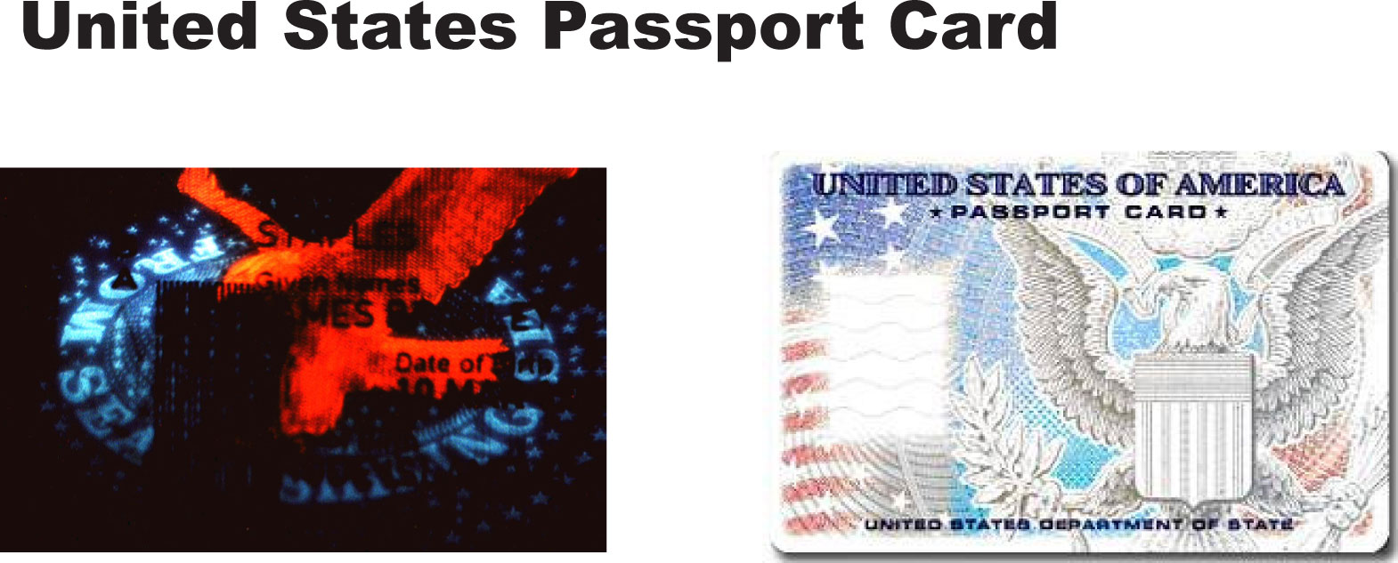 US Passport & US Passport Card UV Features